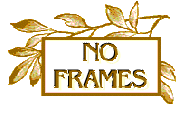 Enter Rangy Lil's Bar and Grill - No Frames